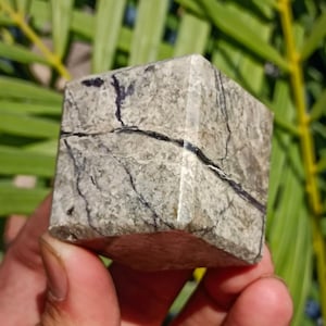 Puede incluir: Un cristal de forma cúbica gris y blanco con vetas negras que lo atraviesan. El cristal está pulido y tiene una superficie lisa.