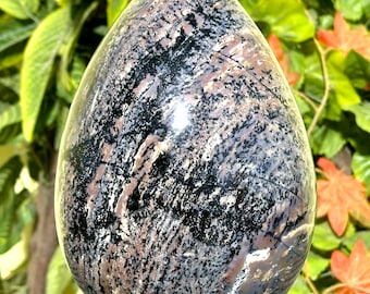 Large 220MM Druzy Dendritic Jasper Egg: Sonoran Rhyolite Healing Stone