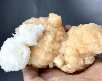 May include: A cluster of white and light orange crystals. The crystals are arranged in a cluster, with the white crystals on top of the orange crystals.