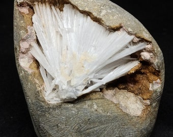 May include: A white crystal cluster, resembling a fan, is embedded in a gray rock. The crystal cluster is surrounded by a brown and pink matrix.