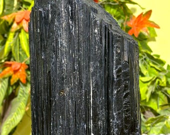 Gran trozo de turmalina negra en bruto de 30 cm: varilla de cristal natural