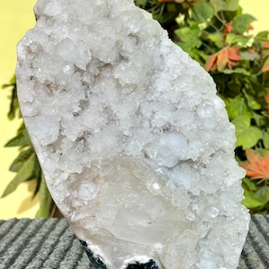 May include: A large, white, crystal geode with a rough, natural exterior. The geode is filled with small, white crystals that sparkle in the light.