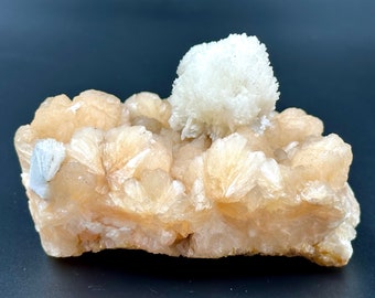 May include: A cluster of light pink and white selenite crystals. The crystals are arranged in a cluster, with a large, white, flower-shaped crystal on top. The crystals are translucent and have a soft, pearly luster.