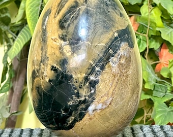 Beautiful Large 180MM Fancy Jasper Egg Metaphysical Healing Chakra Charged Spirit Power Home Decoration Egg