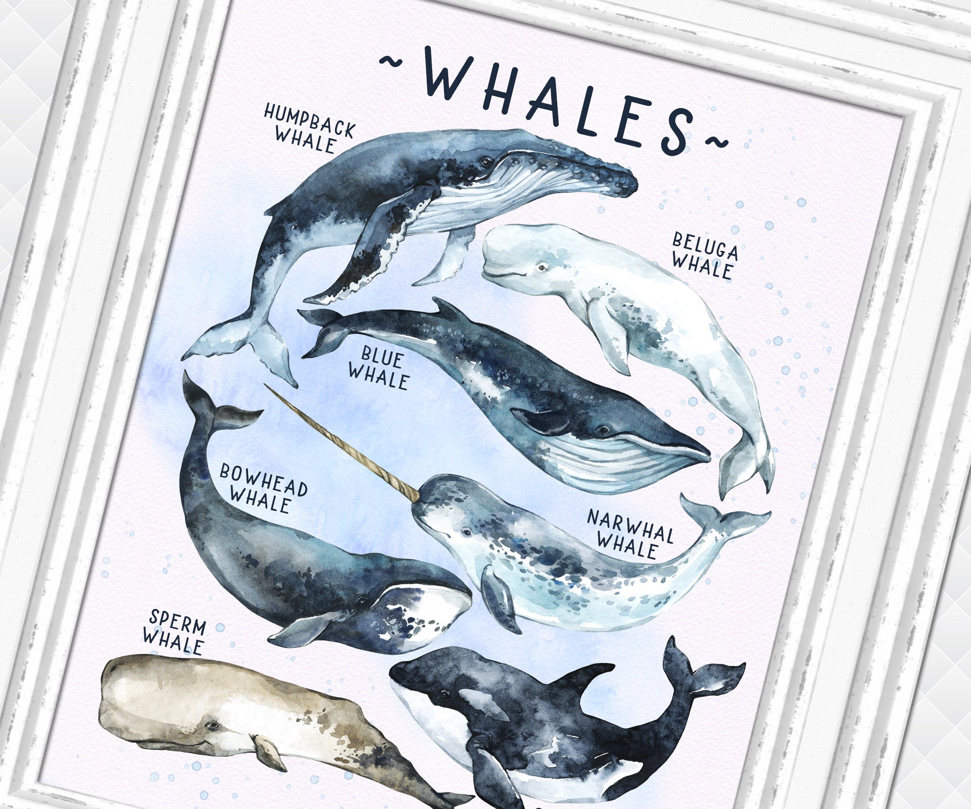 Whales nursery art whale wall decor Ocean kids room decoration Etsy