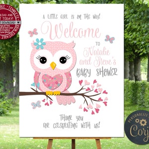 Owl Baby Shower Welcome Sign pink owl Welcome Poster Personalized decor Custom owl Birthday baptism welcome decoration Signs