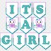 Owl Banner It's a Girl Sign Baby Shower Decoration Toddler - Etsy