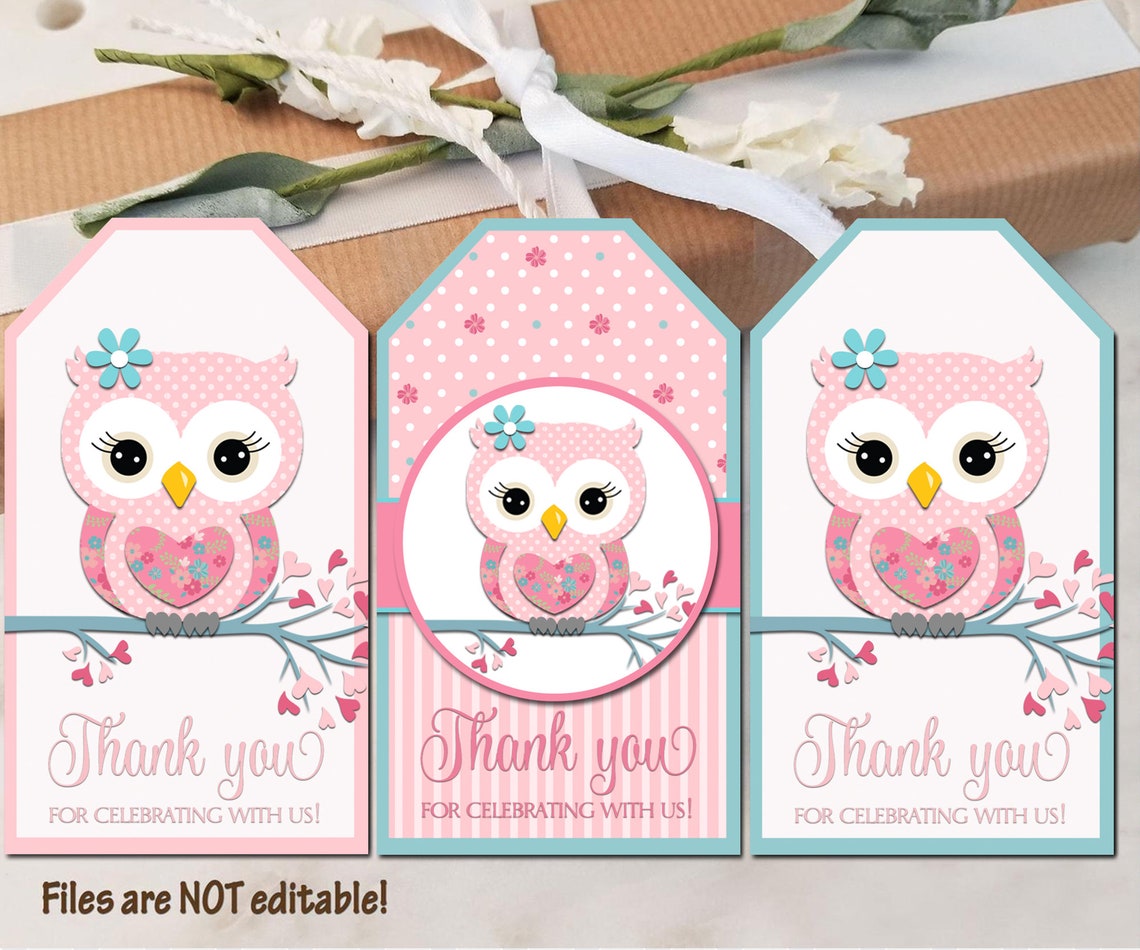 Eule BabyDuscheTags Geburtstag DIY Satz von Tags Party