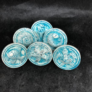 May include: Six white ceramic knobs with blue and white sea life designs. The designs include a seahorse, a fish, a turtle, a starfish, and two different types of seashells.