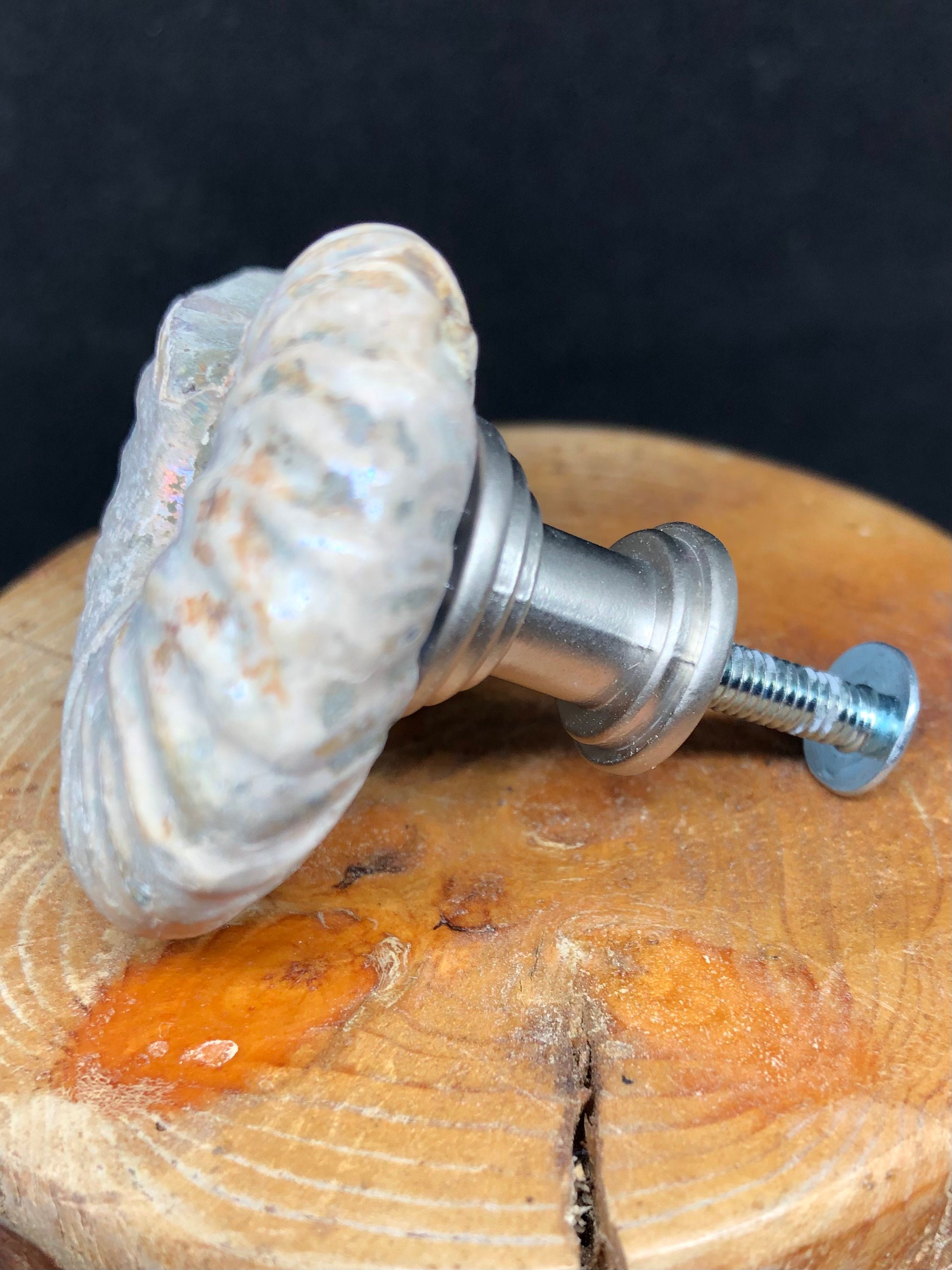 Perillas de gabinete de ammonites perillas de amonite de | Etsy