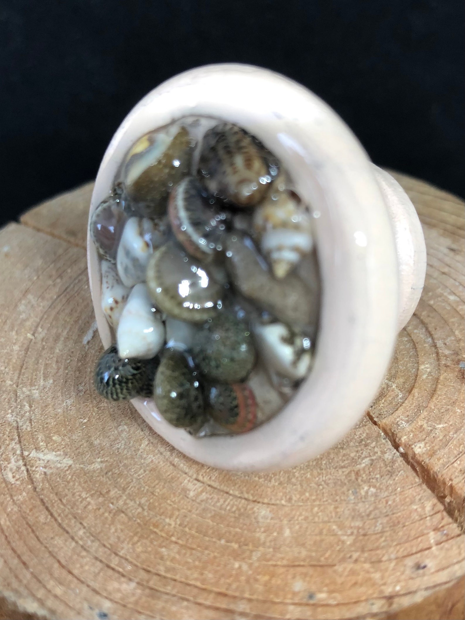 Seashell knobs sea glass knobs ocean shells knobs nautical Etsy