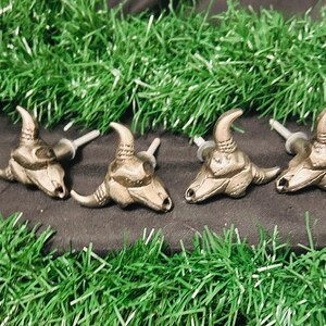 May include: Four antique brass-colored cabinet knobs shaped like bull skulls. Each knob has a curved horn design and a screw post for installation. The knobs are arranged on a dark surface with green decorative accents.