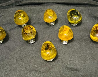 8 bugs in your child's dresser knobs! Insects trapped in amber.boys and girls will love these for XMAS! A bundle deal of 8