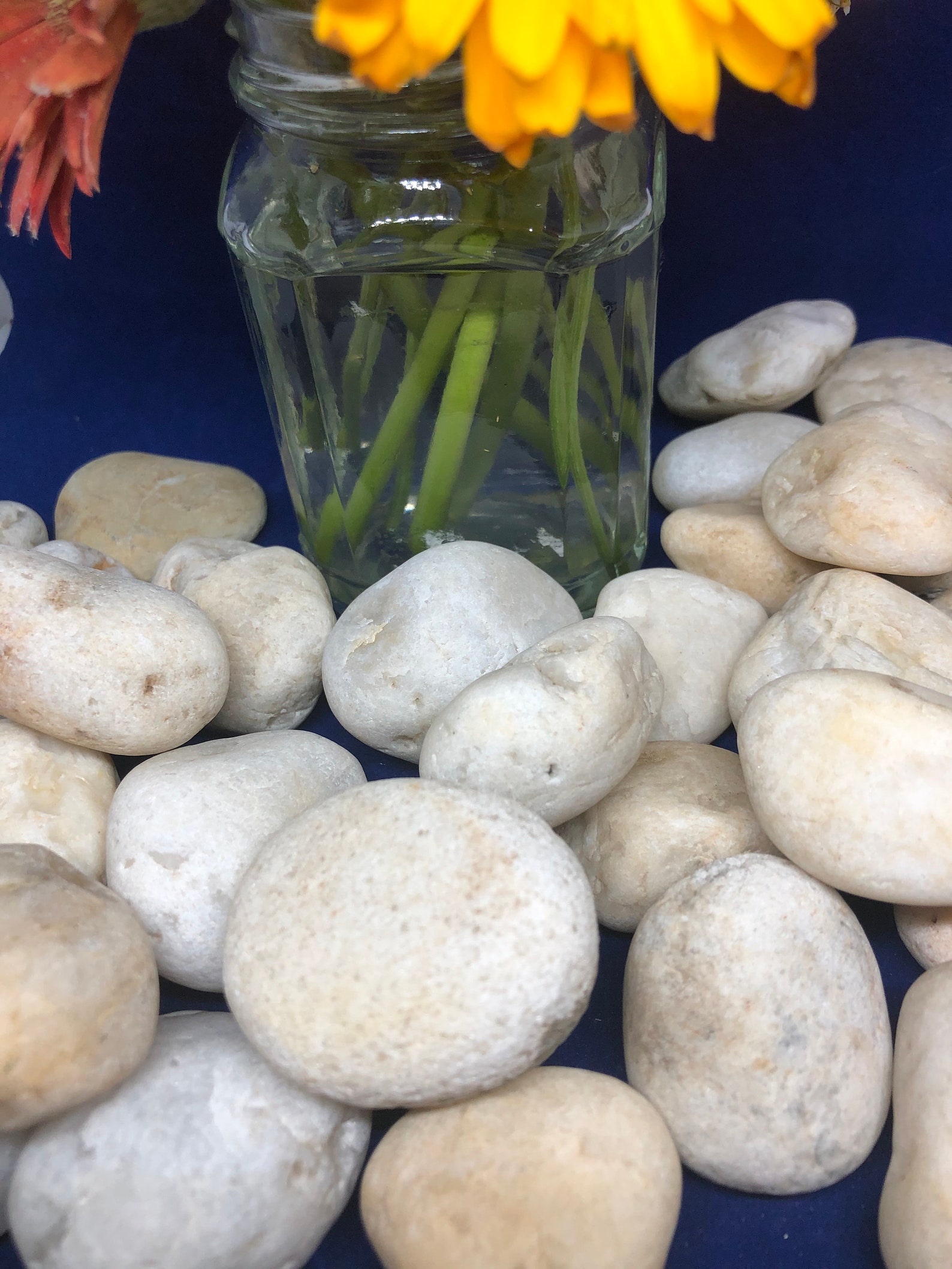 Tumbled River Rock Knobs Roundish Rock Knobs Lake Tahoe Ca Etsy