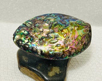 Abalone schelpknoppen: grote 2" levendige groenblauwe pauaschelpbeslag voor lades.