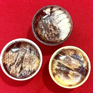 May include: Three round decorative buttons with a reptile skin pattern under a clear, domed glass. The buttons have silver, white, and gold-toned metal rims. The background is a solid red.