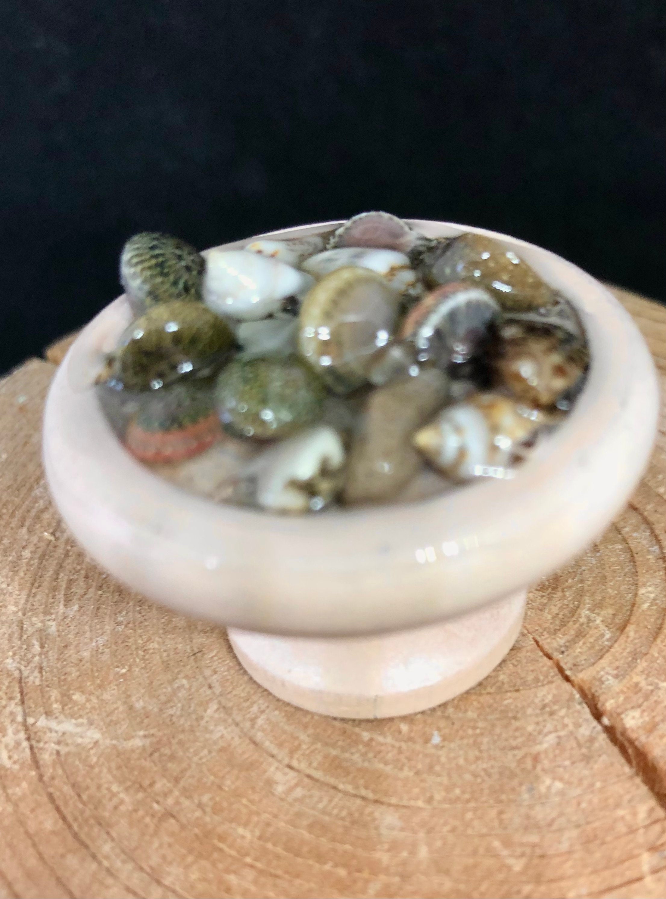 Seashell knobs sea glass knobs ocean shells knobs nautical Etsy