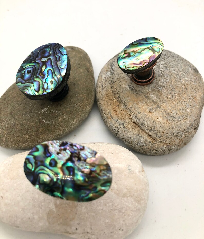 Abalone Shell Knobs Paula Beach Knobs White Abalone Shell Etsy