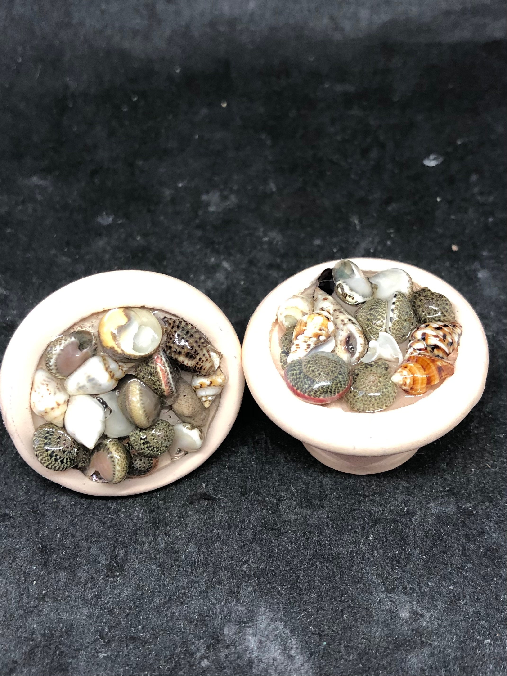 Seashell knobs sea glass knobs ocean shells knobs nautical Etsy