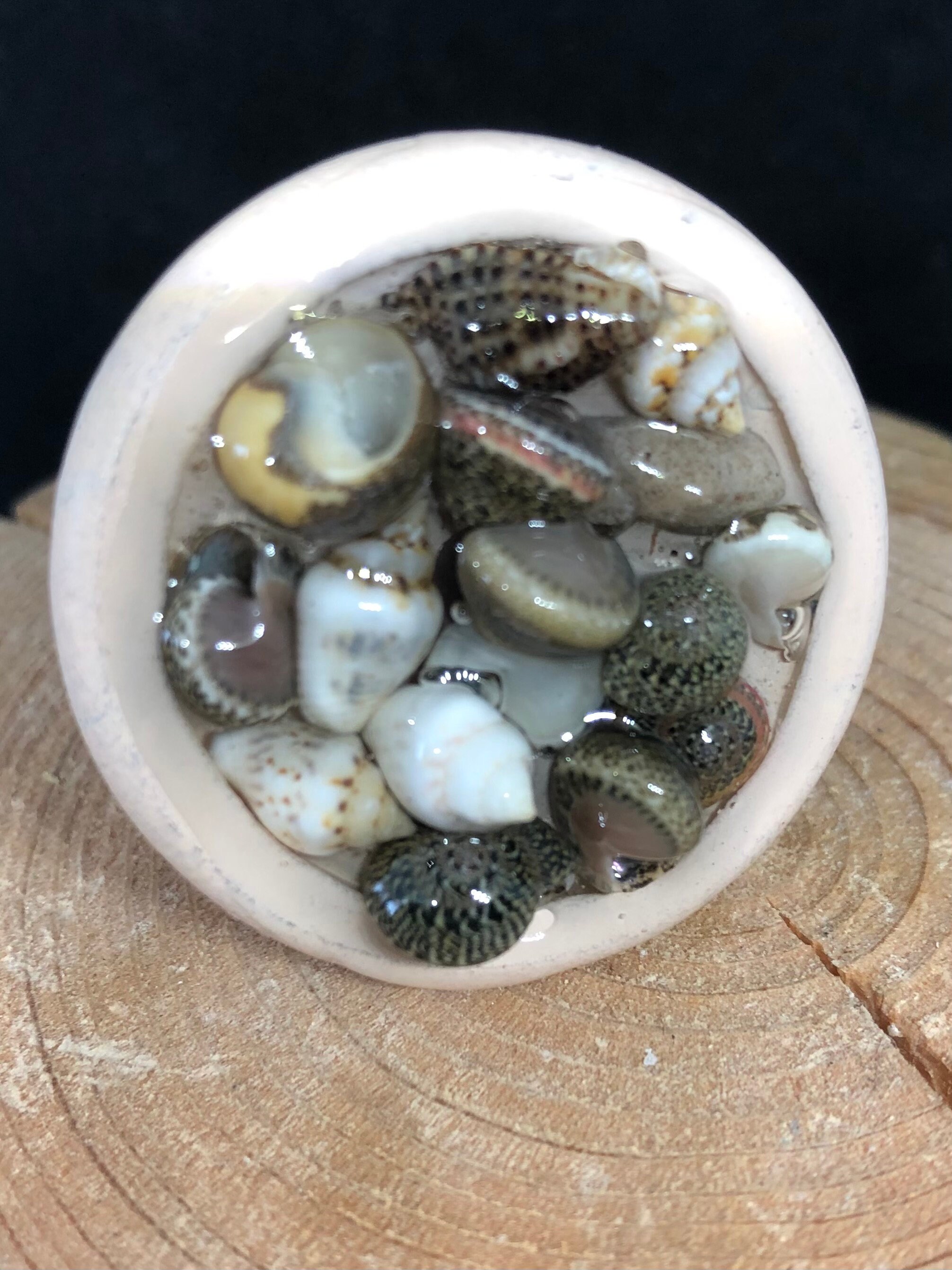 Seashell knobs sea glass knobs ocean shells knobs nautical Etsy