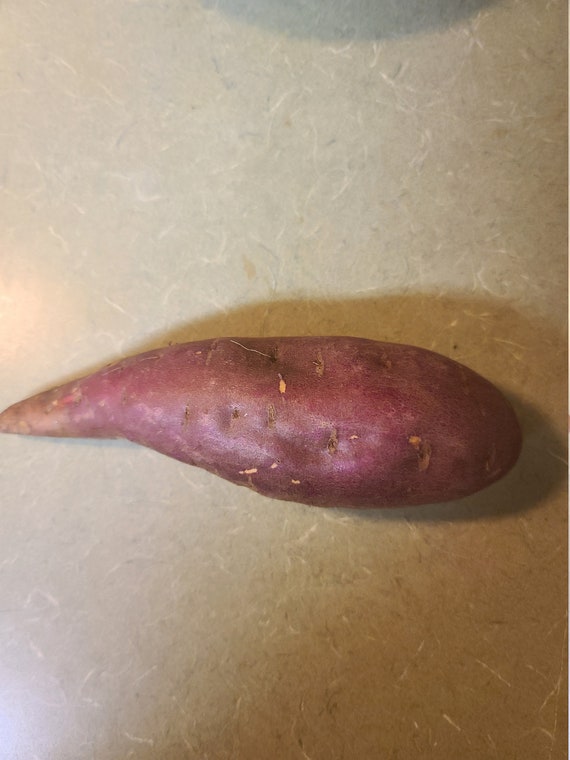 murasaki sweet potato murasaki sweet potato
