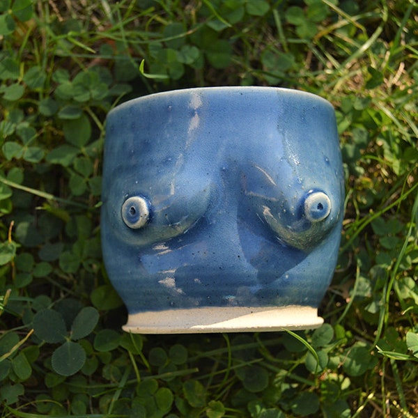 BUNDLE - Boob Mug Planter Pot - Plants and Succulents - Drippy Blue