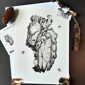 Pine Hoverfly - Insect Illustration - A3 Giclée Print