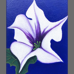 Jimson Weed Flower (Devil's Snare)