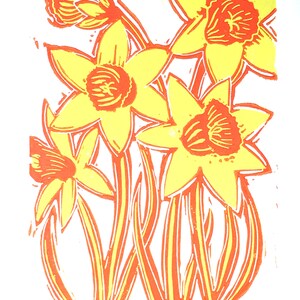 Daffodils