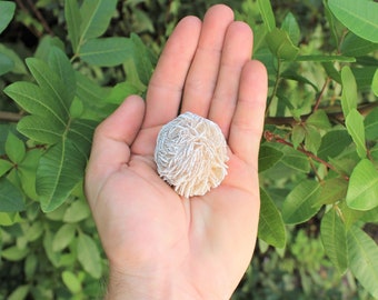 LARGE Desert Rose Selenite Buds, 1.5 - 2.5": Choose How Many ('A' Grade Specimens From Mexico)
