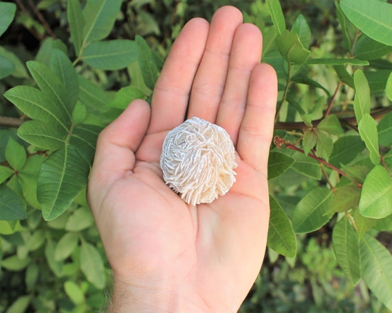 LARGE Desert Rose Selenite Buds, 1.5" - 2.5": Choose How Many Pieces (Desert Rose, Desert Rose Bud, Selenite, Love Stone)