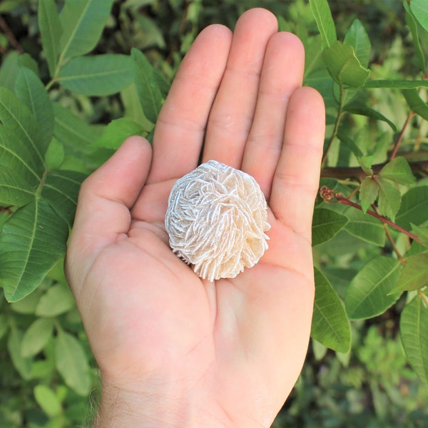 LARGE Desert Rose Selenite Buds, 1.5" - 2.5": Choose How Many Pieces (Desert Rose, Desert Rose Bud, Selenite, Love Stone)