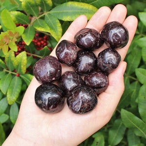 Garnet Tumbled Stones: Choose How Many Pieces Premium Quality 'A' Grade 10