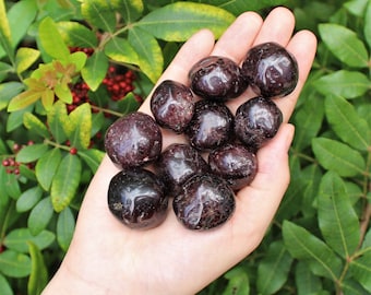 Garnet Tumbled Stones: Choose How Many Pieces (Premium Quality 'A' Grade)