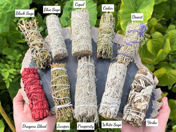 ULTIMATE Smudge Kit 10 Stick Sampler - White Sage, Black Sage, Blue Sage, Cedar, Copal, Desert, Dragons Blood, Juniper, Prosperity & Yerba