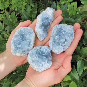 Natural Celestite Cluster, 8 - 11 oz, Beautiful Raw Celestite Crystal Cluster, Medium (Celestite Geode, Celestite Cluster, Blue Celestite)