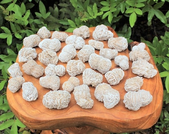 Desert Rose Selenite Buds CLEARANCE Quality: Choose Ounces or lb Bulk Wholesale Lots (Love Stone)
