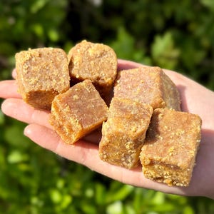 Peut inclure: Une main tient plusieurs friandises carr&eacute;es brun clair. Les friandises ont une texture l&eacute;g&egrave;rement rugueuse et granuleuse et semblent &ecirc;tre un aliment solide et compact. L'arri&egrave;re-plan est une vue floue de feuillage vert.