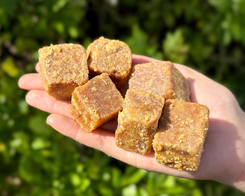 Peut inclure: Une main tient plusieurs friandises carr&eacute;es brun clair. Les friandises ont une texture l&eacute;g&egrave;rement rugueuse et granuleuse et semblent &ecirc;tre un aliment solide et compact. L'arri&egrave;re-plan est une vue floue de feuillage vert.