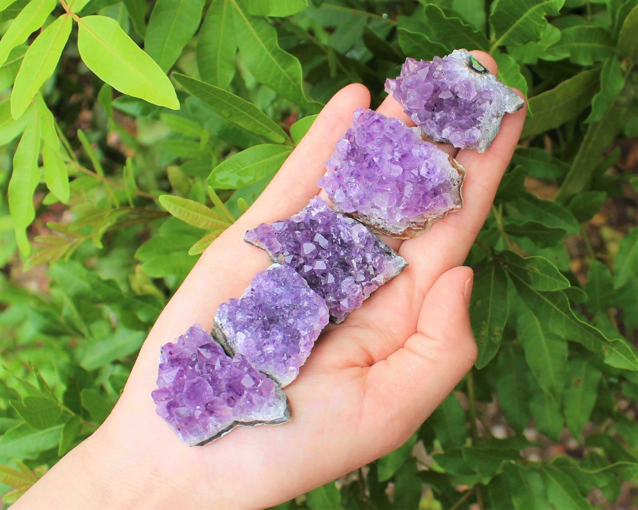 Amethyst Druze Crystal Flowers. Magic Fantastic Gemstone Flowers Stock  Image - Image of macro, amethyst: 288093057