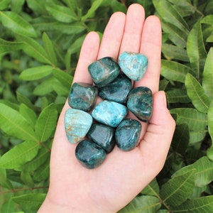 Blue Apatite Tumbled Stones: Choose How Many Pieces (Premium Quality 'A' Grade)