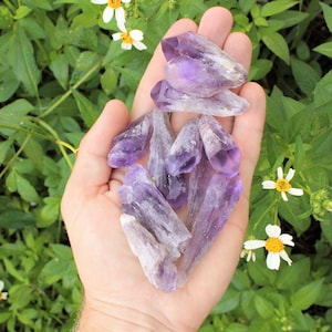 May include: A hand holding a collection of amethyst crystals. The crystals are various shades of purple and have a pointed shape.