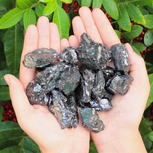 May include: A handful of raw, dark gray hematite stones. The stones have a metallic sheen and irregular shapes. The background features green leaves and red berries, providing a natural contrast to the stones.