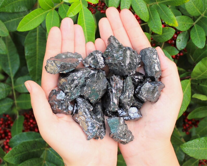 May include: A handful of raw, dark gray hematite stones. The stones have a metallic sheen and irregular shapes. The background features green leaves and red berries, providing a natural contrast to the stones.