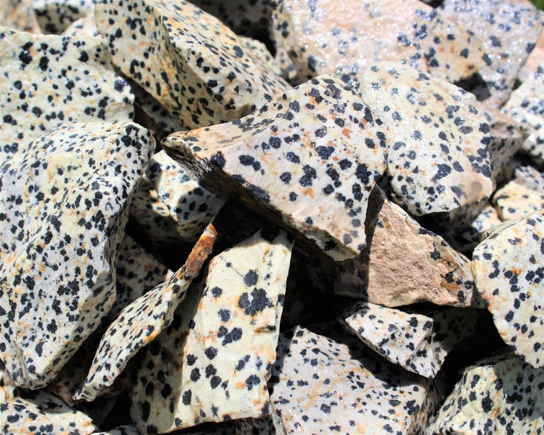 Dalmation Jasper Rough Natural Stones: Choose Ounces or lb Bulk Wholesale Lots Premium Quality 'A' Grade image 6