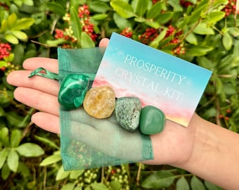 Prosperity Crystal Kit, 4 pcs In Organza Pouch - Most Popular Tumbled Crystal Gift Kits