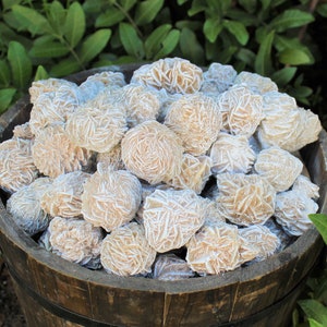 LARGE Desert Rose Selenite Buds, 1.5" - 2.5": Choose 4 oz, 8 oz, 1 lb, 2 lb, 5 lb Bulk Lots