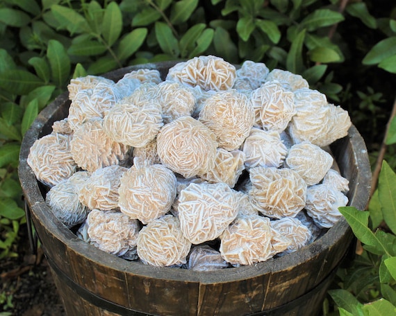 LARGE Desert Rose Selenite Buds, 1.5" - 2.5": Choose Ounces or lb Bulk Wholesale Lots (Premium Quality 'A' Grade)