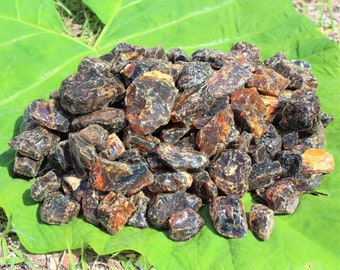 Indonesian Black Amber Rough Natural Crystals - Wholesale Bulk Lots ('A' Grade Raw Amber)