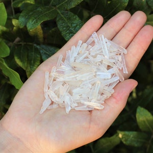 May include: A hand holding a pile of small, clear quartz crystals. The crystals are all pointed and have a natural, raw look.